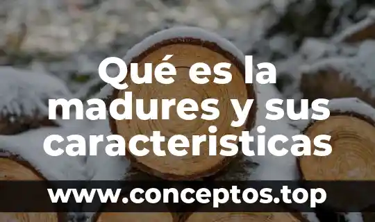 Que es un vendedor y sus caracteristicas 3 Qué es la madures y sus caracteristicas