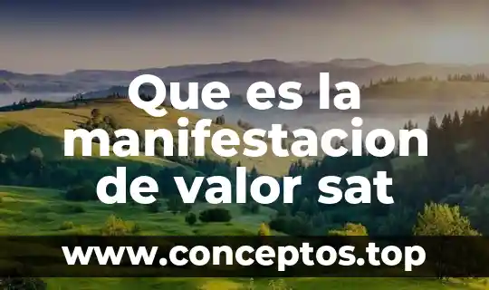 Que es la manifestacion de valor sat