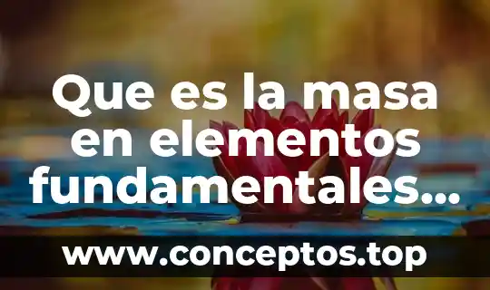 Que es la masa en elementos fundamentales de la magnitud