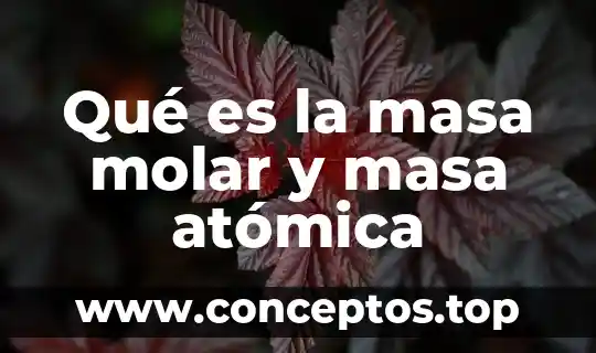 Qué es la masa molar y masa atómica