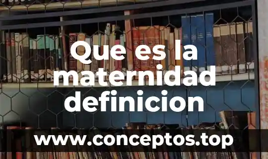 Que es la maternidad definicion