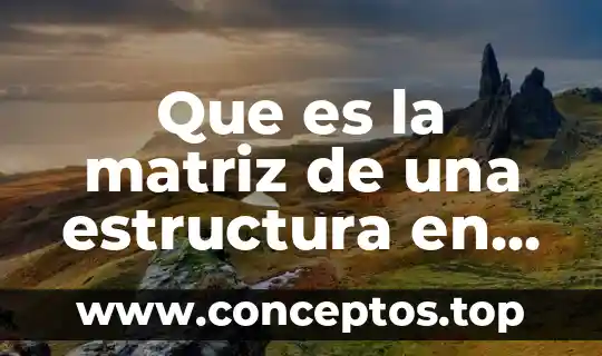 Que es la matriz de una estructura en psicologia