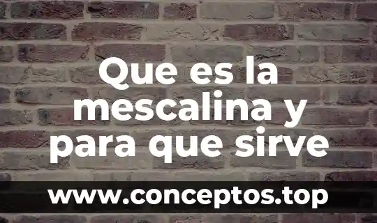 Que es la mescalina y para que sirve