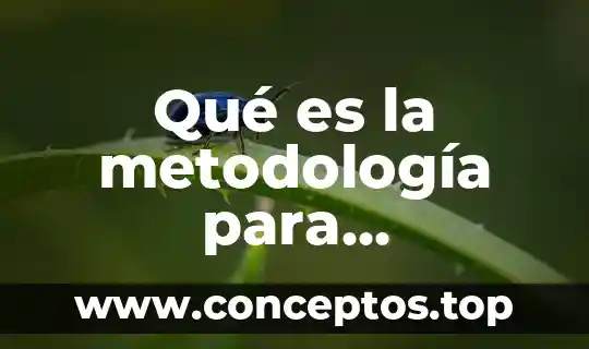 Qué es la metodología para desarrollar un tema