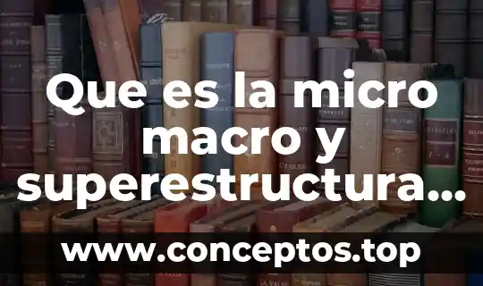 Que es la micro macro y superestructura de un texto