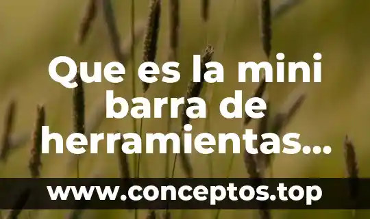 Que es la mini barra de herramientas word