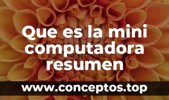 Que es la mini computadora resumen