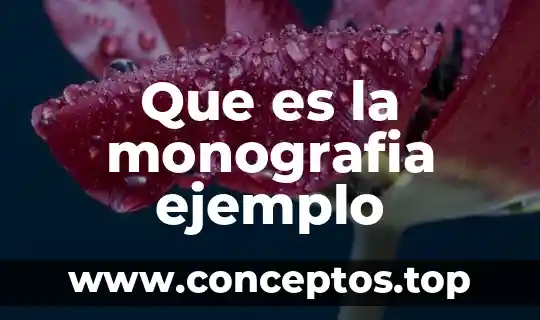 Qué es nombre propios y su ejemplo 7 Que es la monografia ejemplo