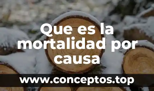 Que es el matrimonio y tipos 6 Que es la mortalidad por causa
