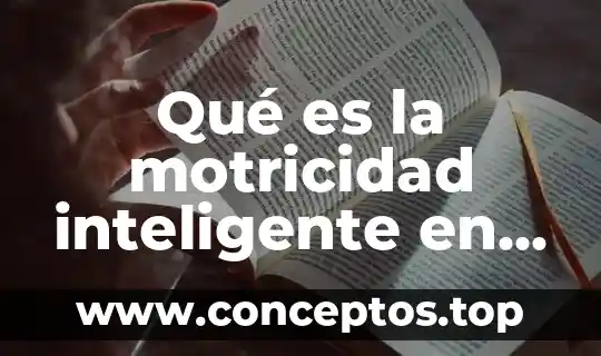 Qué es la motricidad y sus tipos educación física 4 Qué es la motricidad inteligente en educación física