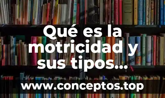 Qué es la motricidad y sus tipos educación física