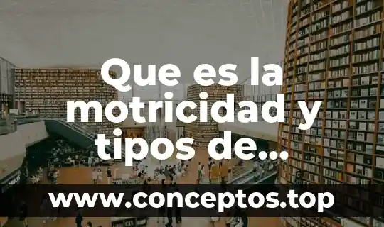 Qué es la motricidad y sus tipos educación física 7 Que es la motricidad y tipos de motricidad