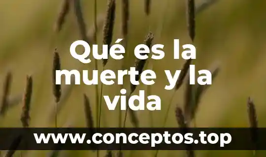 Que es la mimica en la vida cotidiana 7 Qué es la muerte y la vida