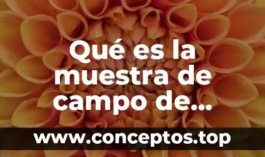 Qué es la muestra de campo de estudio