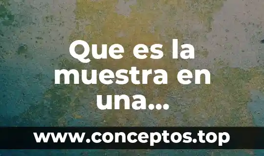 Que es la muestra en una investigacion cualitativa