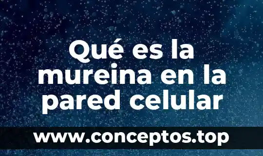 Qué es la mureina en la pared celular