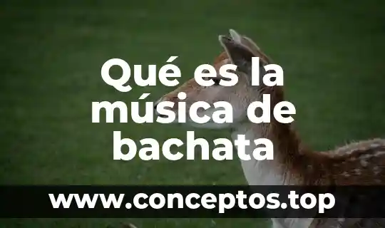 Que es la musica folclorika 3 Qué es la música de bachata