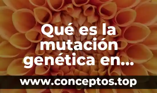 Qué es la mutación genética en biología
