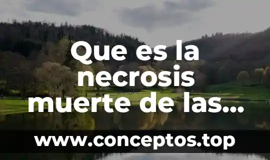 Que es una necrosis planta 4 Que es la necrosis muerte de las células