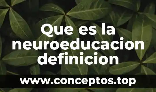 Que es la neuroeducacion definicion