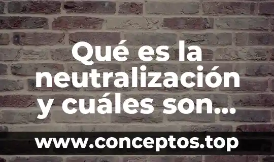 Que es una balanza comercial y cuales son sus tipos 6 Qué es la neutralización y cuáles son sus productos