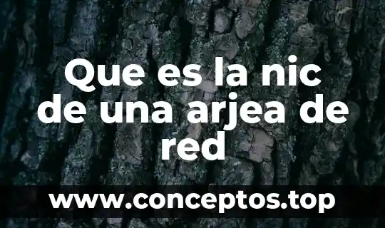 Que es la nic de una arjea de red