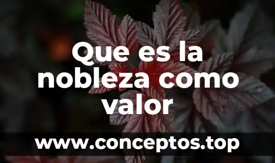 Que es la nobleza como valor