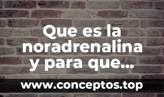 Que es la noradrenalina y para que sirve