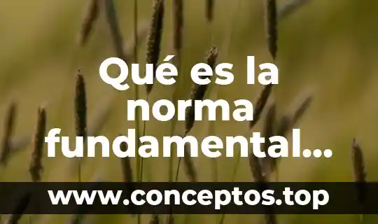 Según Cohen que es pulpitis 6 Qué es la norma fundamental según Kelsen