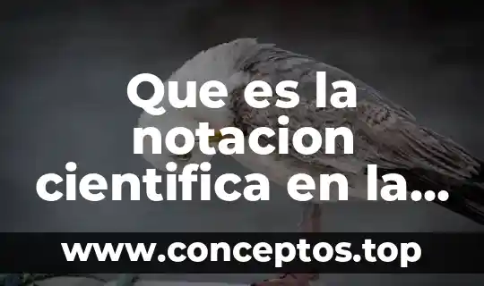 Que es la notacion cientifica en la fisica