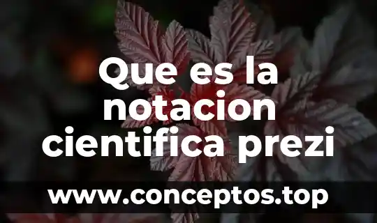 Que es la notacion cientifica prezi