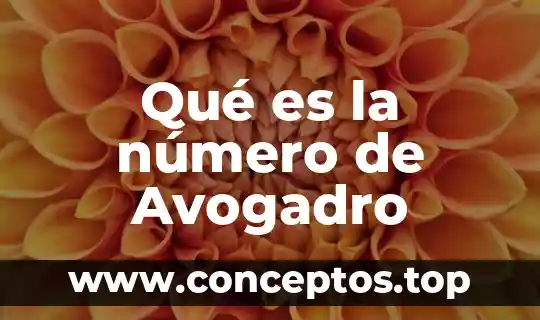 Que es y que se significa el numero de avogadro 4 Qué es la número de Avogadro
