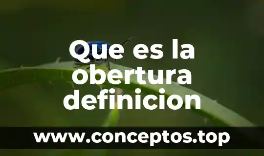 Qué es transacción comercial definición 7 Que es la obertura definicion