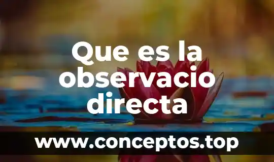 Que es la observacio directa