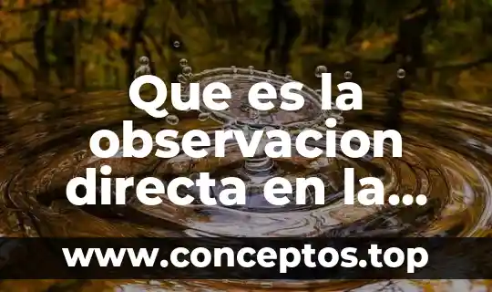 Que es la observacion directa en la investigacion