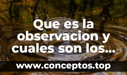 Que es una balanza comercial y cuales son sus tipos 8 Que es la observacion y cuales son los requisitos