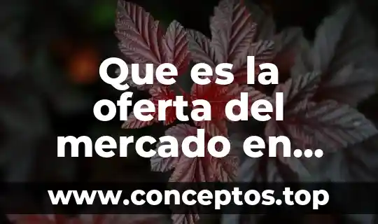 Conclusión de la ley de oferta y qué es oferta 3 Que es la oferta del mercado en economia