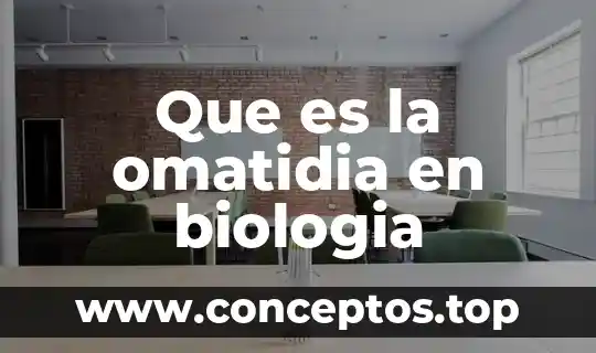 Que es la omatidia en biologia