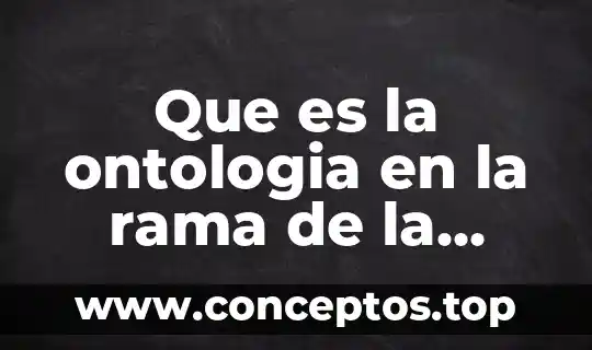 Que es la ontologia en la rama de la filosofia