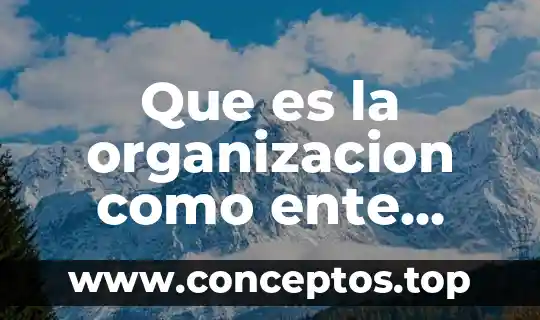 Que es el ente publico 5 Que es la organizacion como ente social