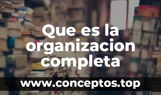 Que es la organizacion completa