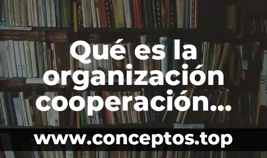 Que es la cruz verde internacional 5 Qué es la organización cooperación internacional