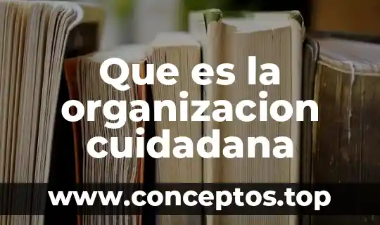 Que es la organizacion cuidadana