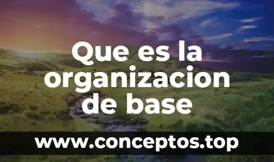 Que es la organizacion de base