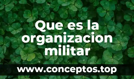 Que es la organizacion militar