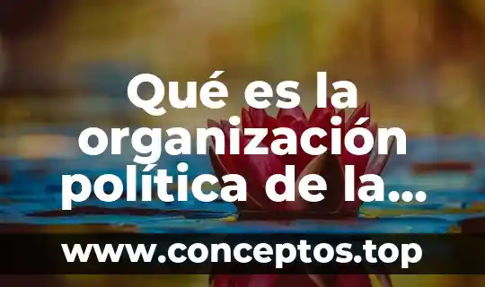 Qué es la organización política de la edad media