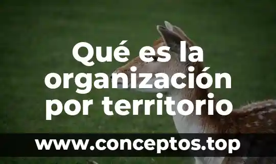 Qué es la organización por territorio