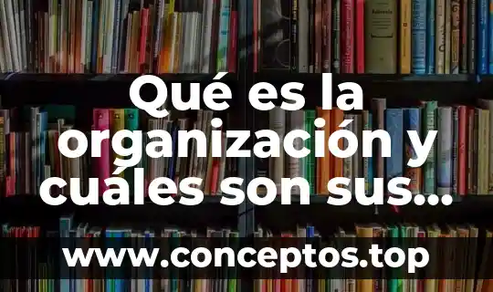 Qué es la organización y cuáles son sus tipos