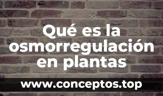 Que es expresamente significado 6 Qué es la osmorregulación en plantas