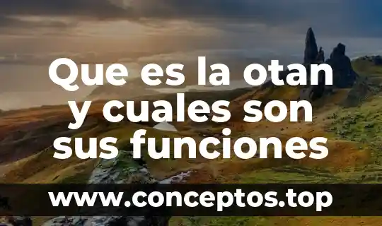 Que es la otan y cuales son sus funciones